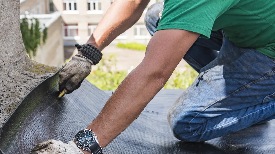 Фото: freepik.com