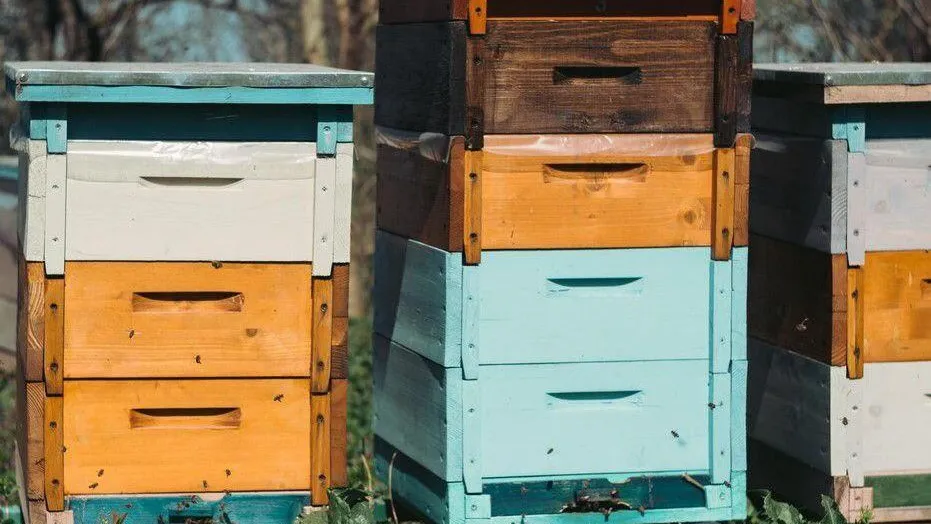 Фото: Юлия Оськина