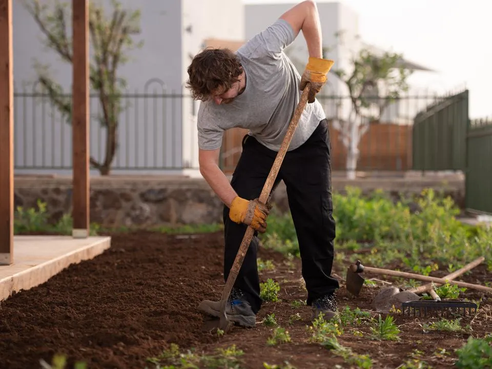 Фото: istockphoto.com