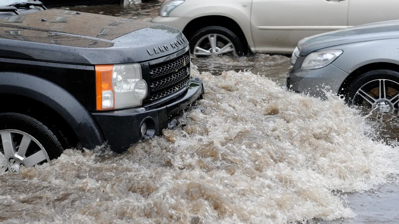 Фото: медиасток.рф