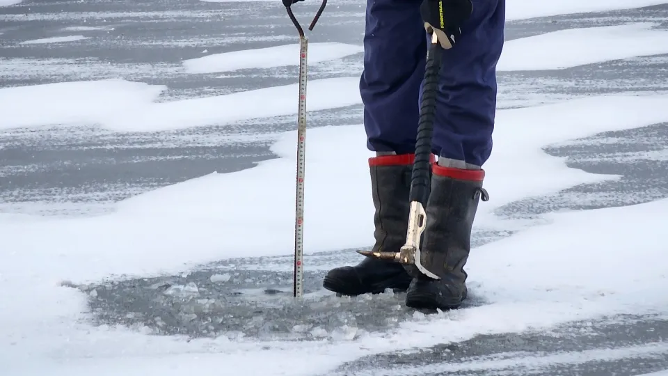 Фото: МедиаБанк Подмосковья/Ольга Антонова