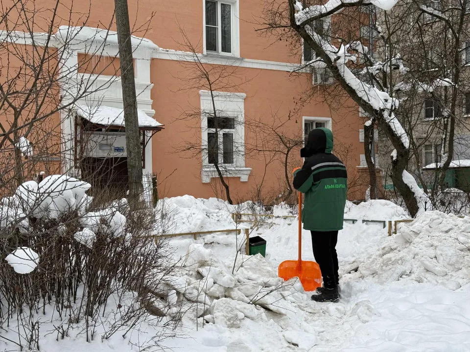 Фото: МедиаБанк Подмосковья/Анна Дука