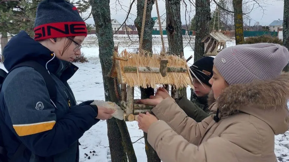 Фото: Комитет лесного хозяйства МО