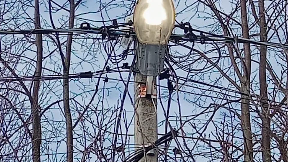 Фото: МБУ «Чеховское благоустройство»