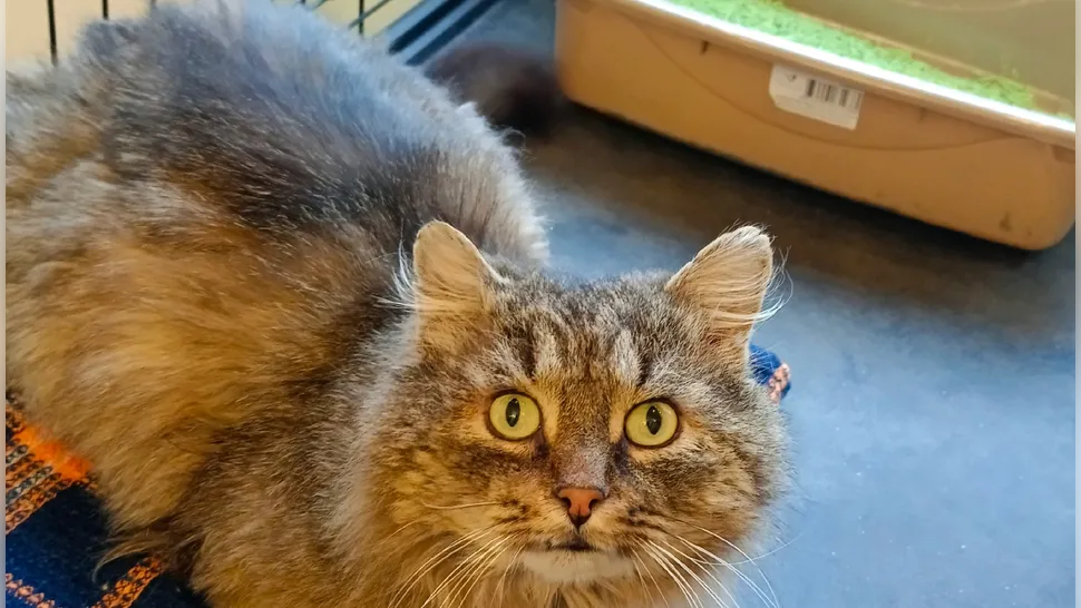 Фото: Наталья Дудина