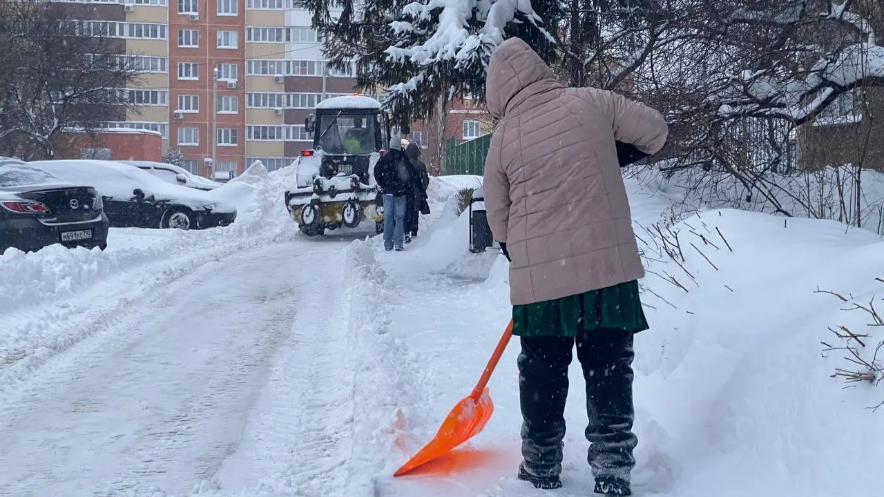 МедиаБанк Подмосковья/Анастасия Сараева