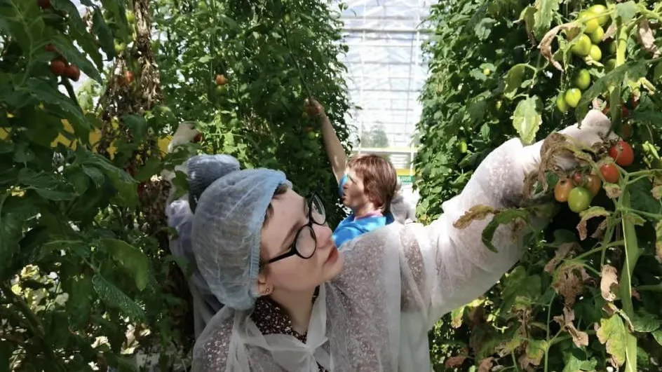 Фото: пресс-служба Министерства сельского хозяйства и продовольствия Московской области