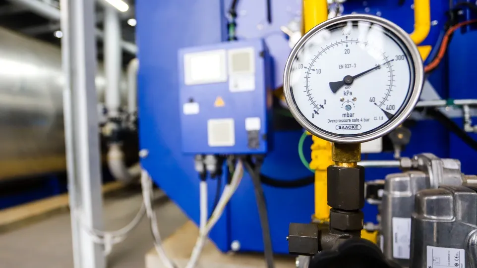 Фото: пресс-служба администрации г.о. Кашира