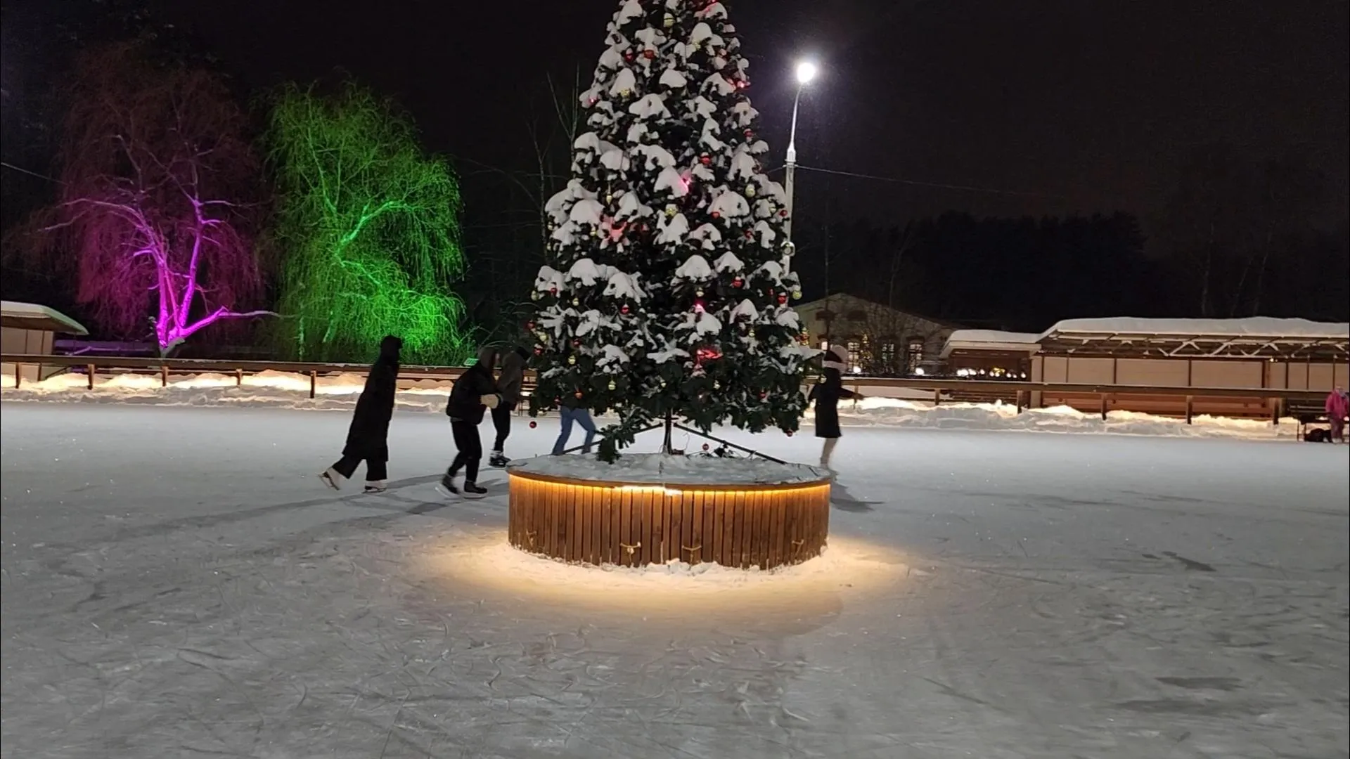 Добрынина Галина