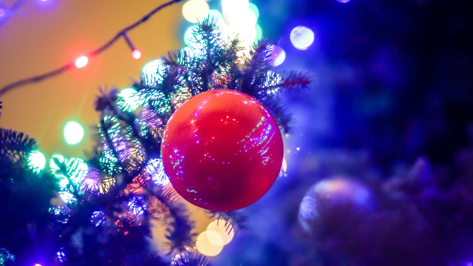 Фото: пресс-служба администрации г.о. Кашира