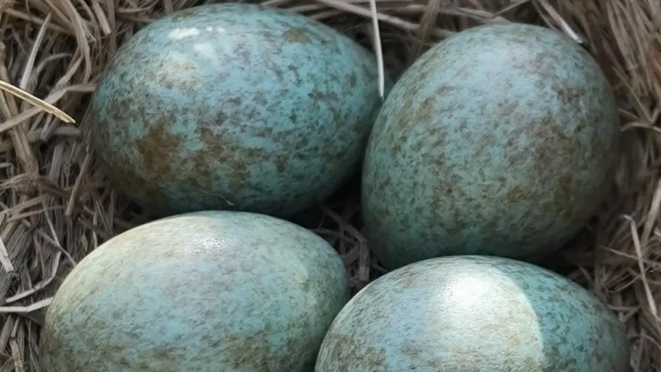 Фото: Минэкологии Московской области