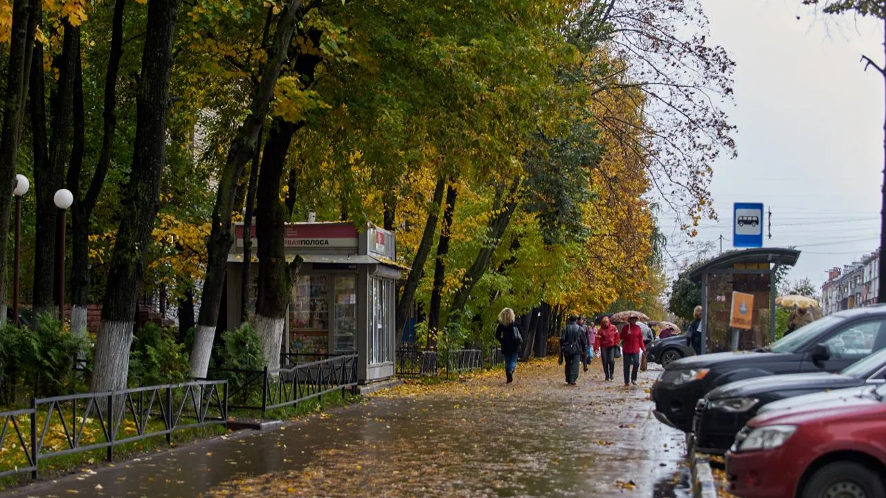 медиасток.рф