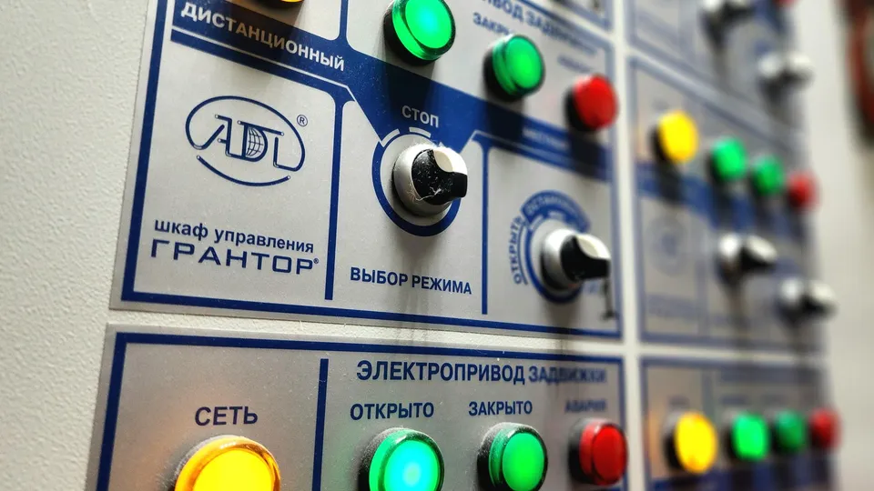 Фото: Мария Овчинникова