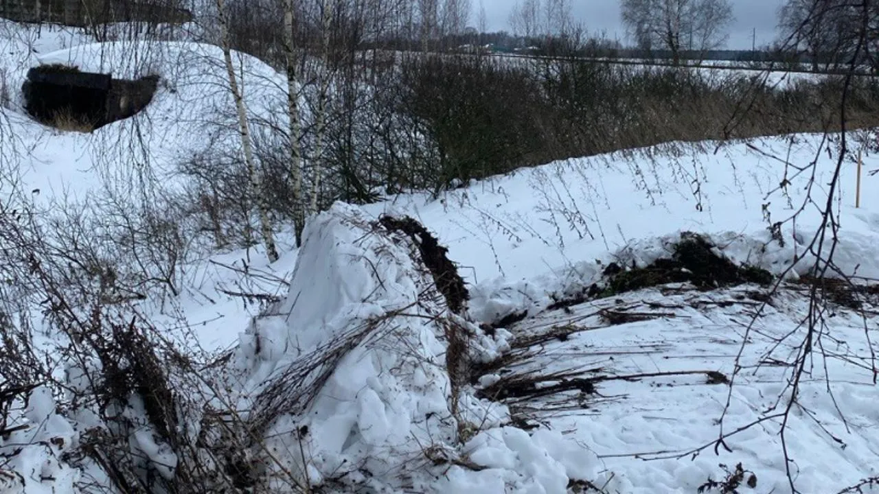 Инспекторы эконадзора устанавливают обстоятельства нарушения Водного кодекса в Домодедове
