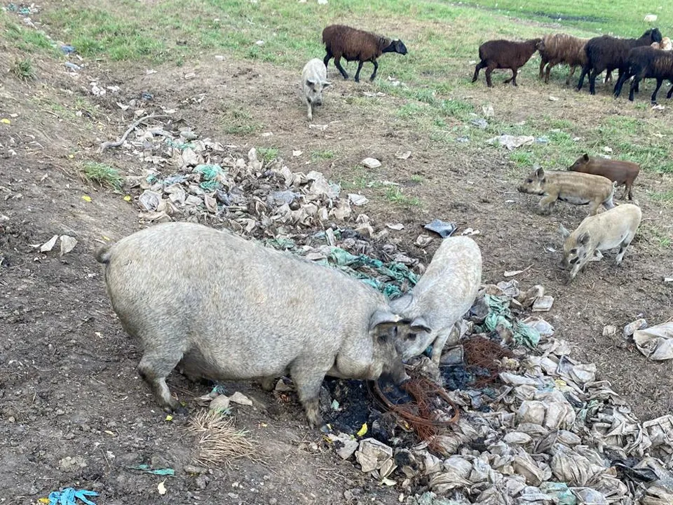 Фото: из архива местных жителей&nbsp;