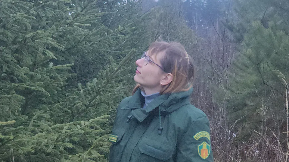 Фото: МедиаБанк Подмосковья/Роман Кутузов