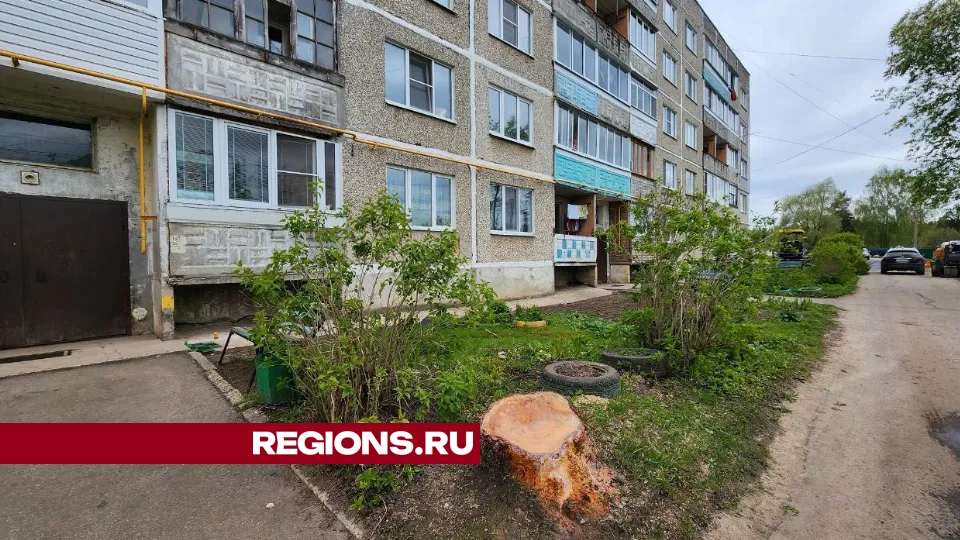 Фото: Яна Шаливская