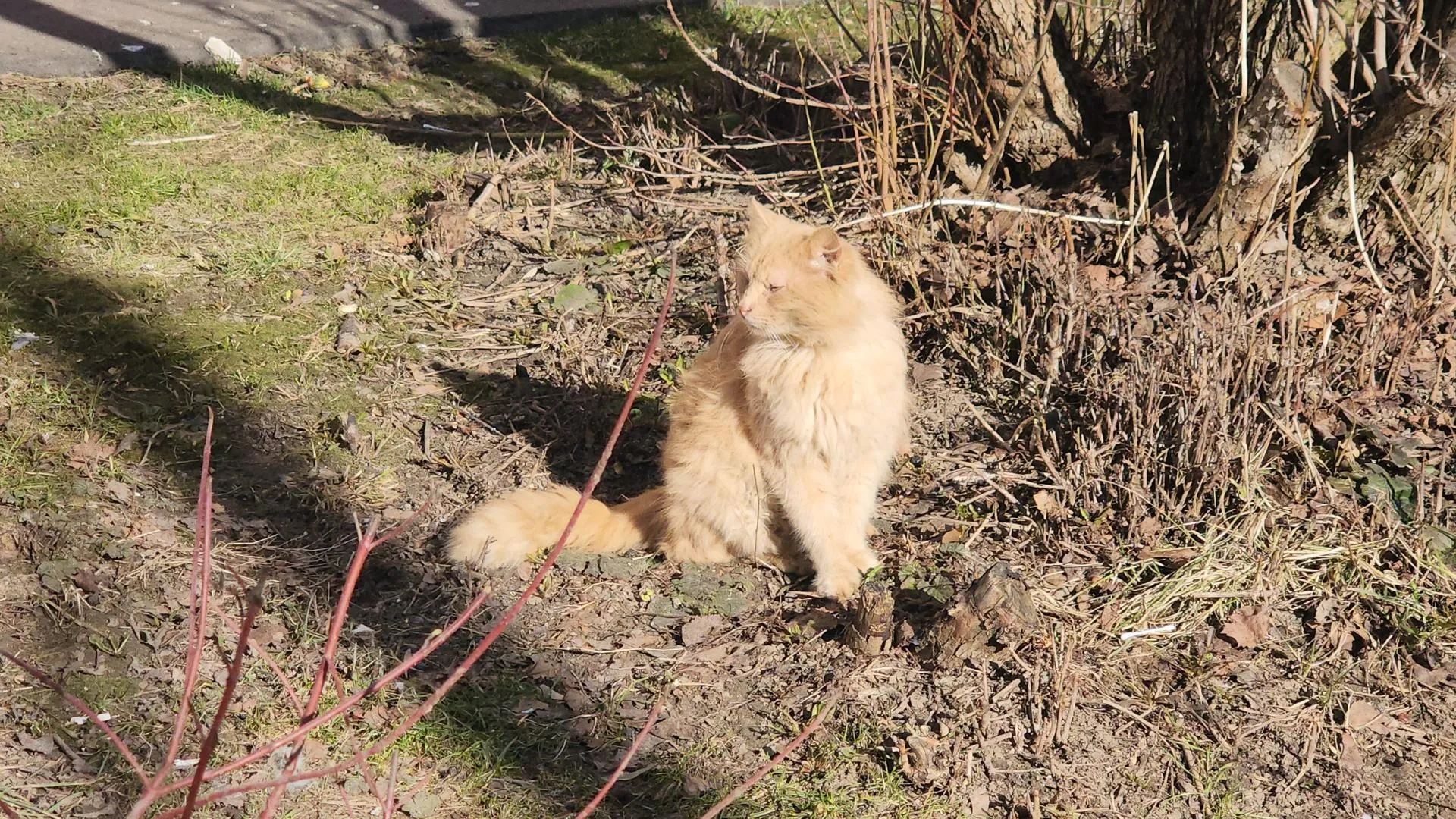 REGIONS/Роман Кутузов