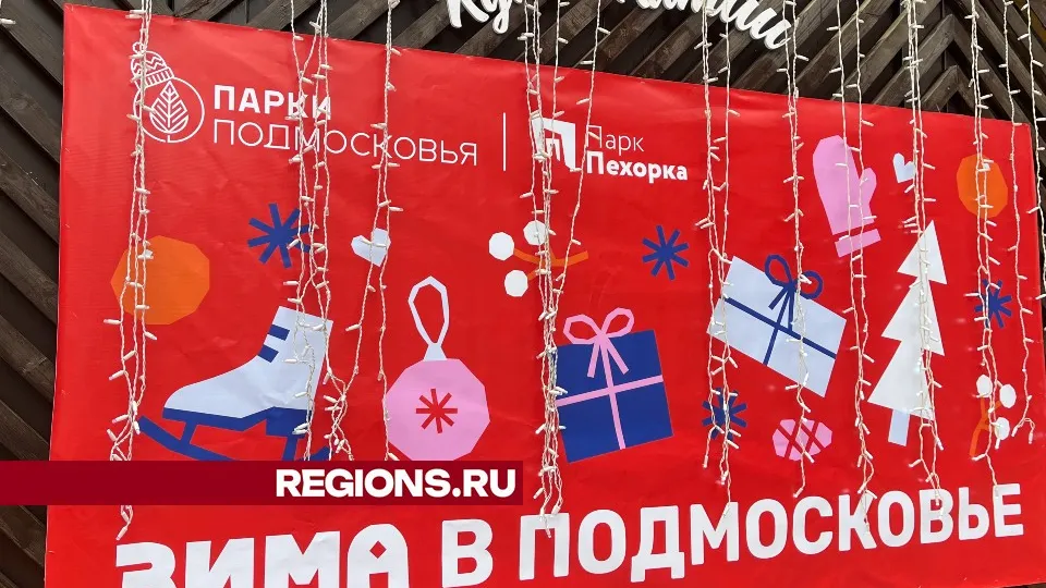 Фото: МедиаБанк Подмосковья/Елизавета Приймак