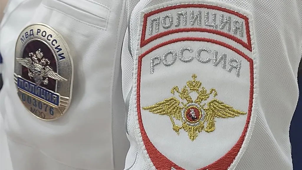 Фото: ГУ МВД России по Московской области