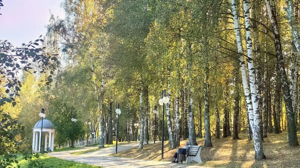 Фото: министерство благоустройства Московской области