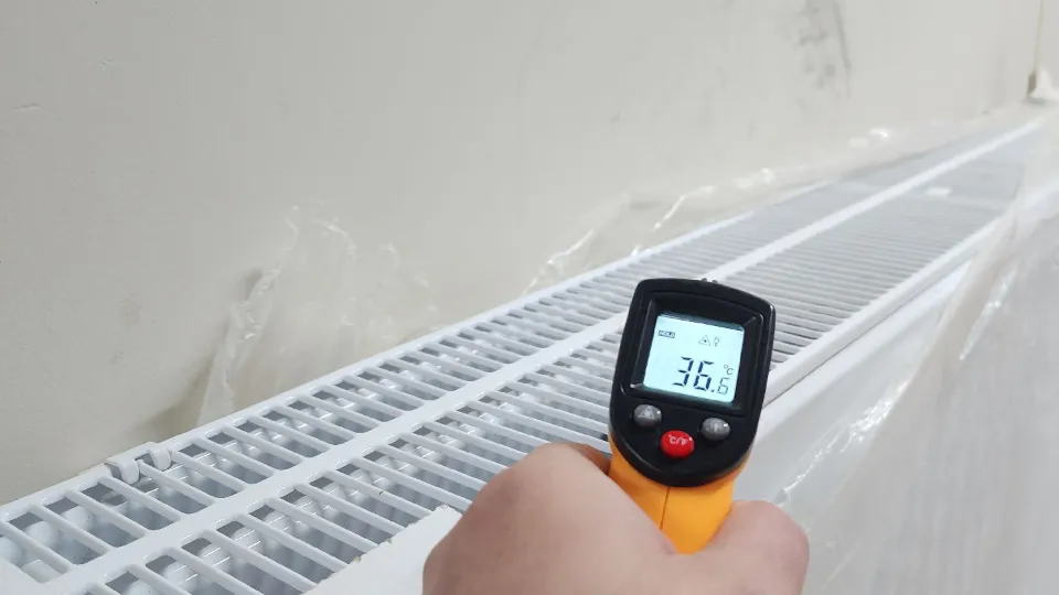 Фото: МедиаБанк Подмосковья/Дмитрий Беденко