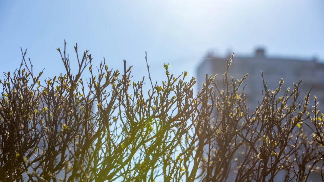 REGIONS/Роман Малышенко