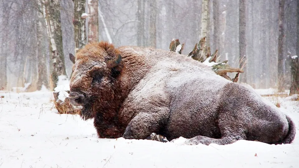 Фото: Ольга Калинина