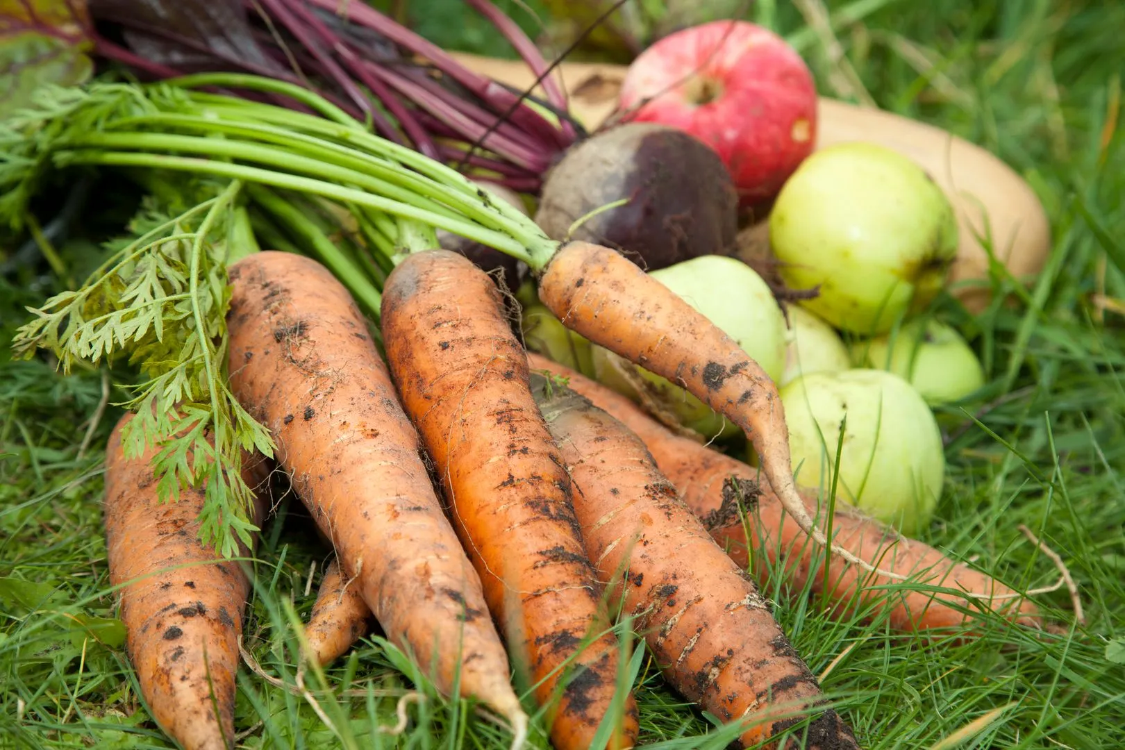 Фото: медиасток.рф