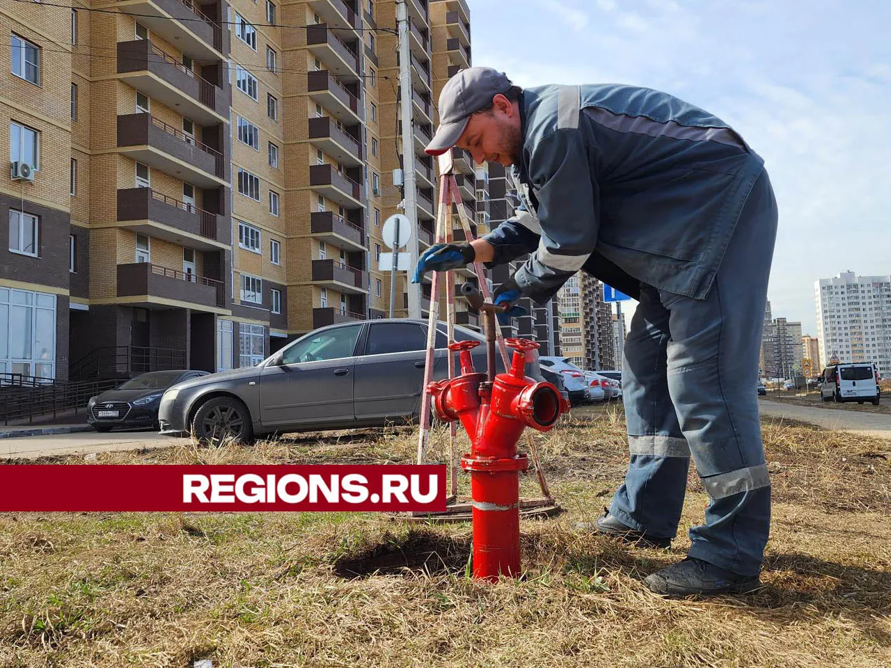 Фото: Валерия Тингаева