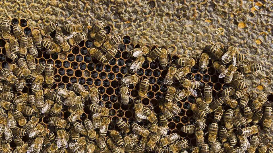 Фото: freepik.com