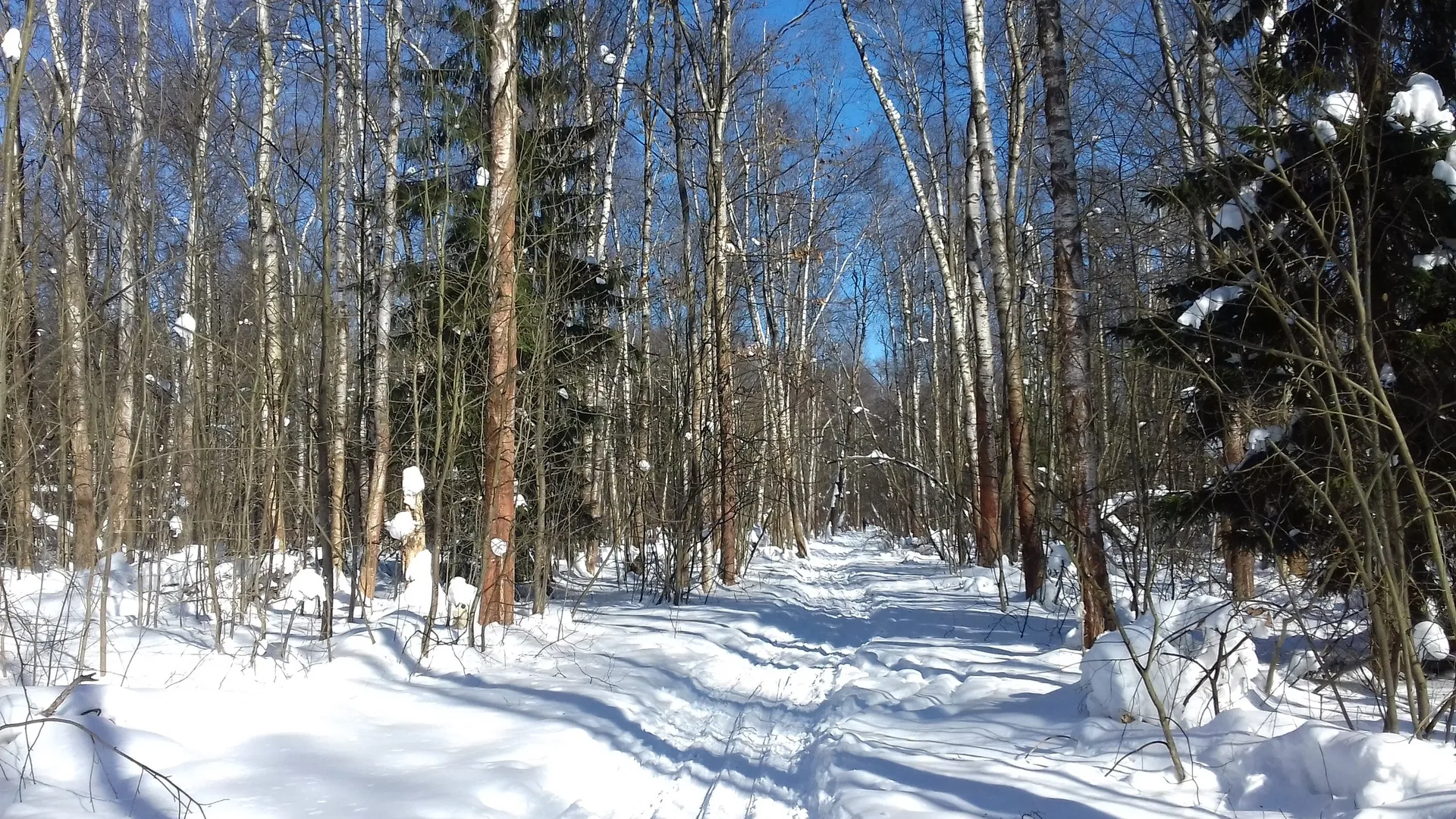 Фото: Олег Книжник