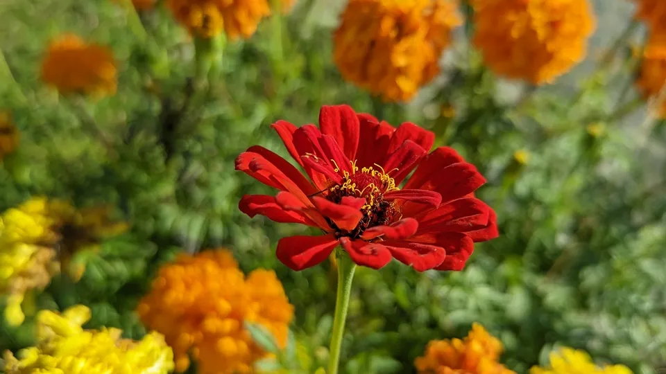 Фото: REGIONS/Алексей Селиверстов