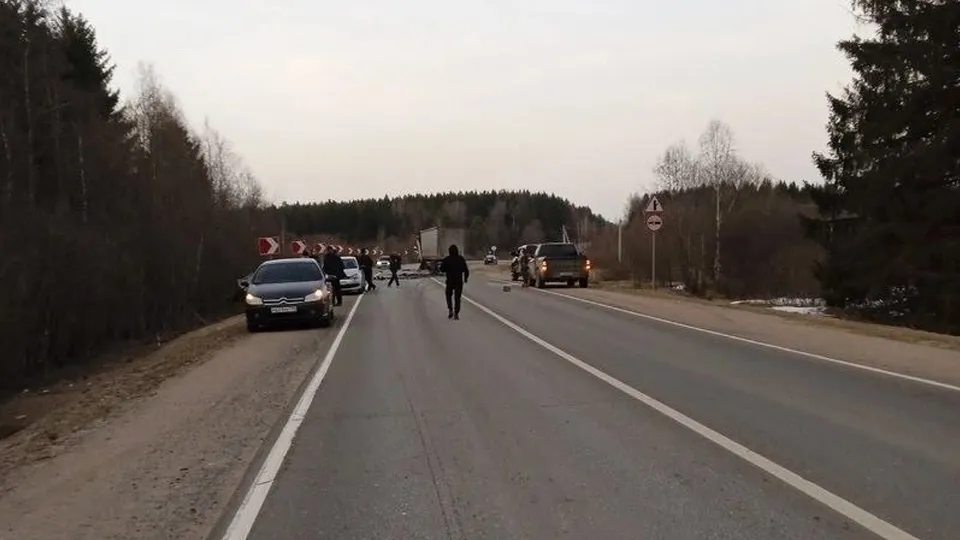 Фото: соцсети