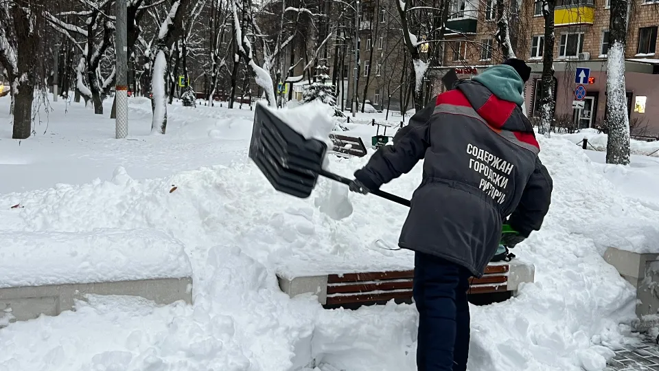 Фото: пресс-служба администрации г.о. Химки