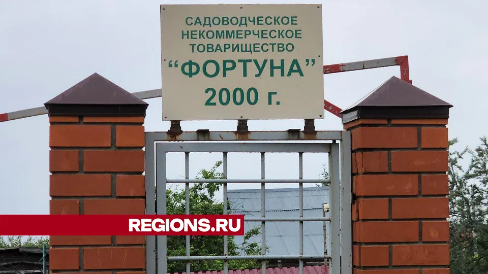 Фото: Андрей Семибратов