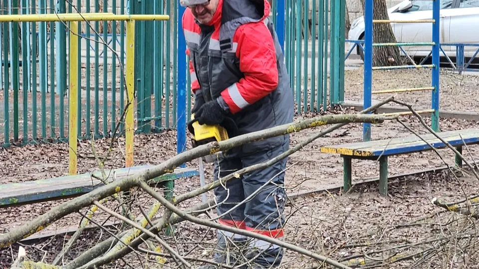 Фото: МедиаБанк Подмосковья/Ольга Антонова