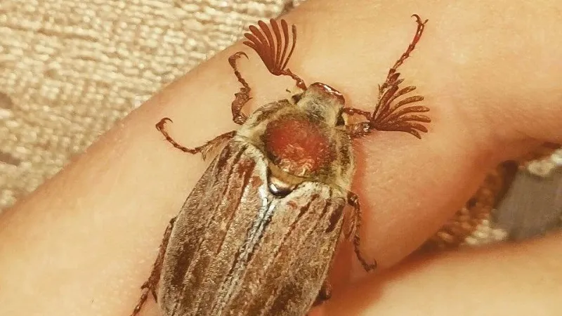 Фото: Министерство экологии и природопользования Московской области/Артем Ульянов