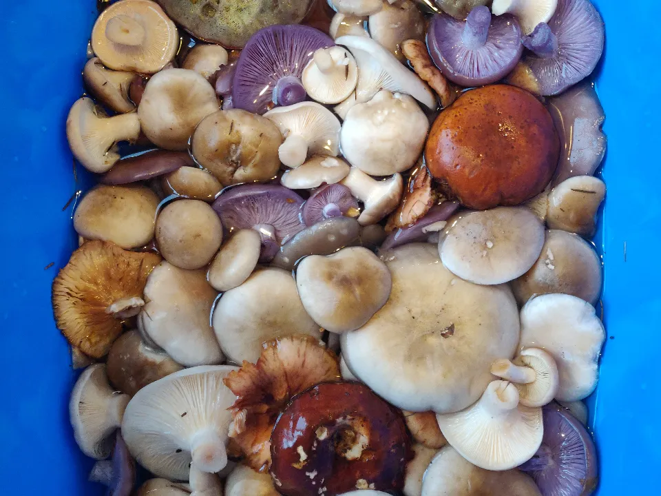 Фото: Алексей Колесников