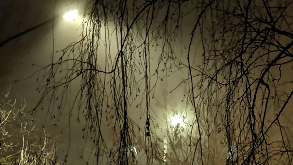 Фото: REGIONS/Алексей Селиверстов