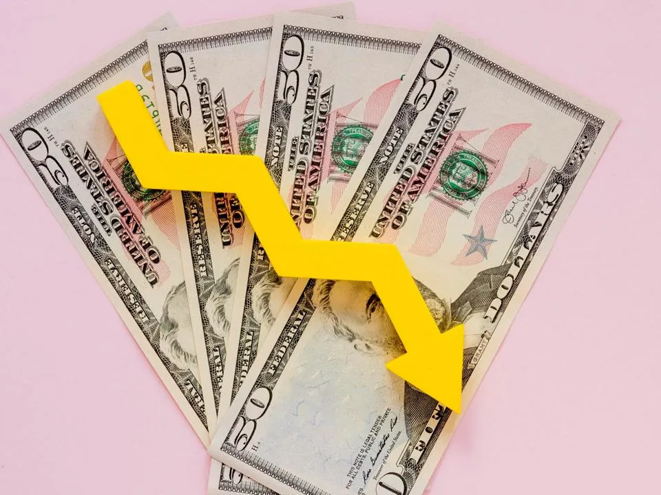 «Будет возможность привезти сувениры»: в России предложили выводить деньги за рубеж только для путешествий