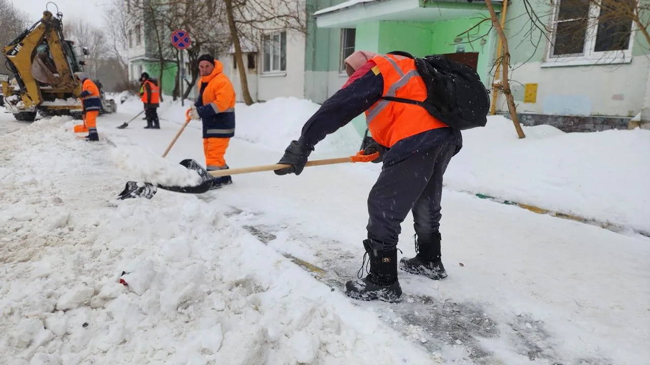 МедиаБанк Подмосковья/Екатерина Данилина