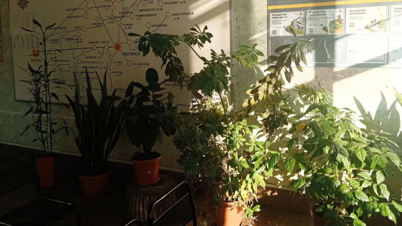 REGIONS/Наталья Пичугина