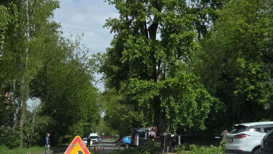 Фото: пресс-служба администрации г.о. Лыткарино