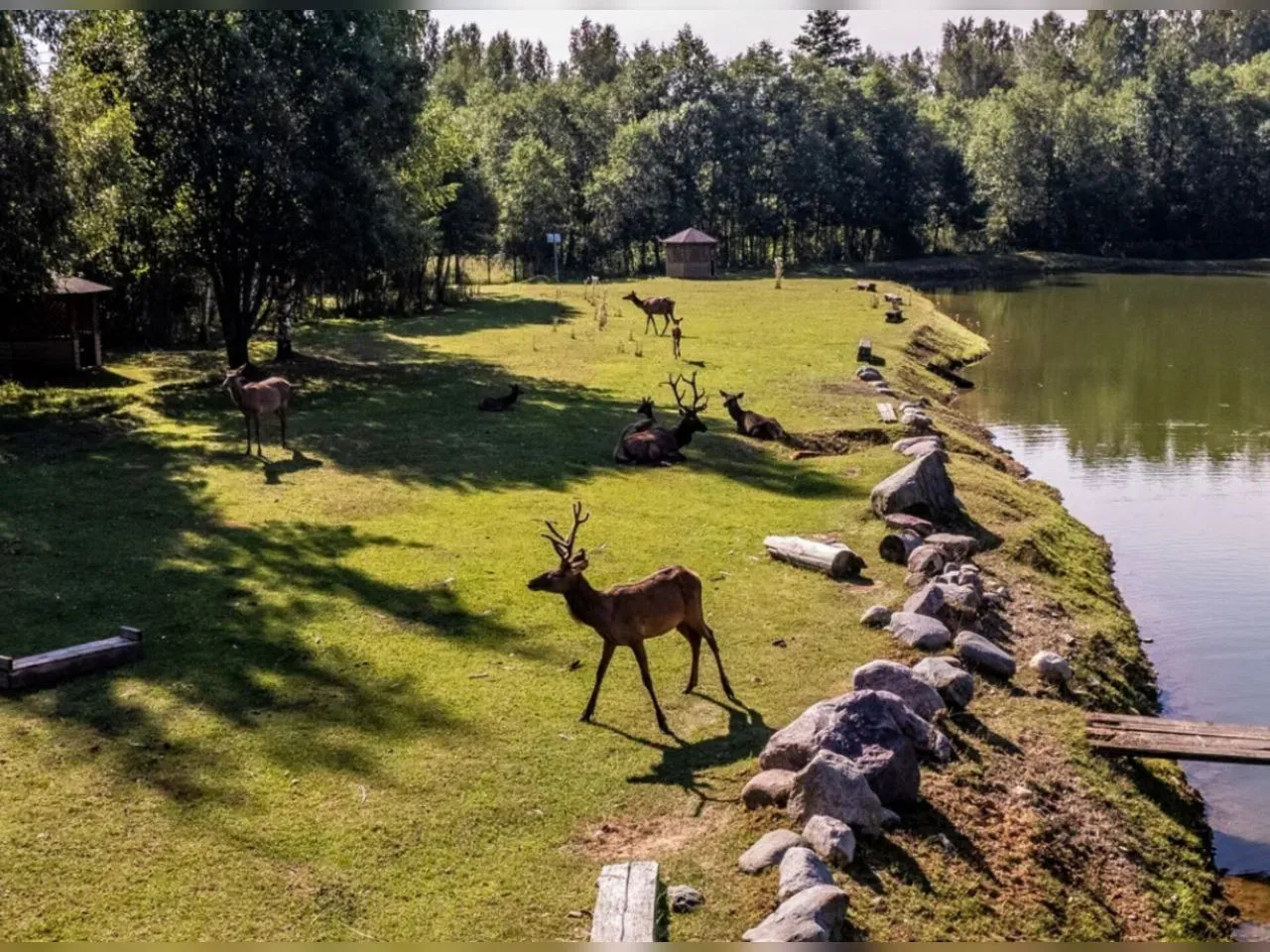 Фото: архив Усадьбы Веретьево
