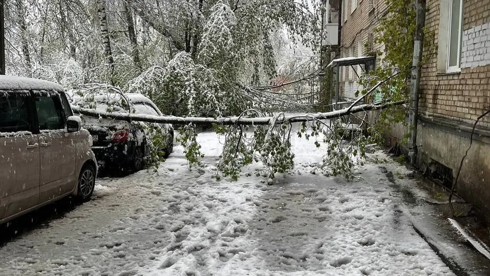 Фото: t.me/posad_dom