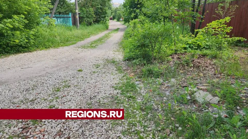 Фото: Ольга Сычева