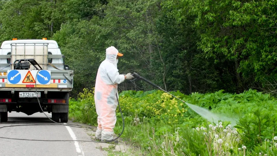 Фото: Министерство транспорта и дорожной инфраструктуры МО