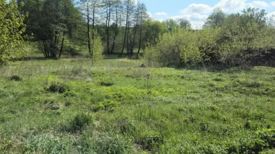 Фото: Единый портал торгов Московской области ЕАСУЗ