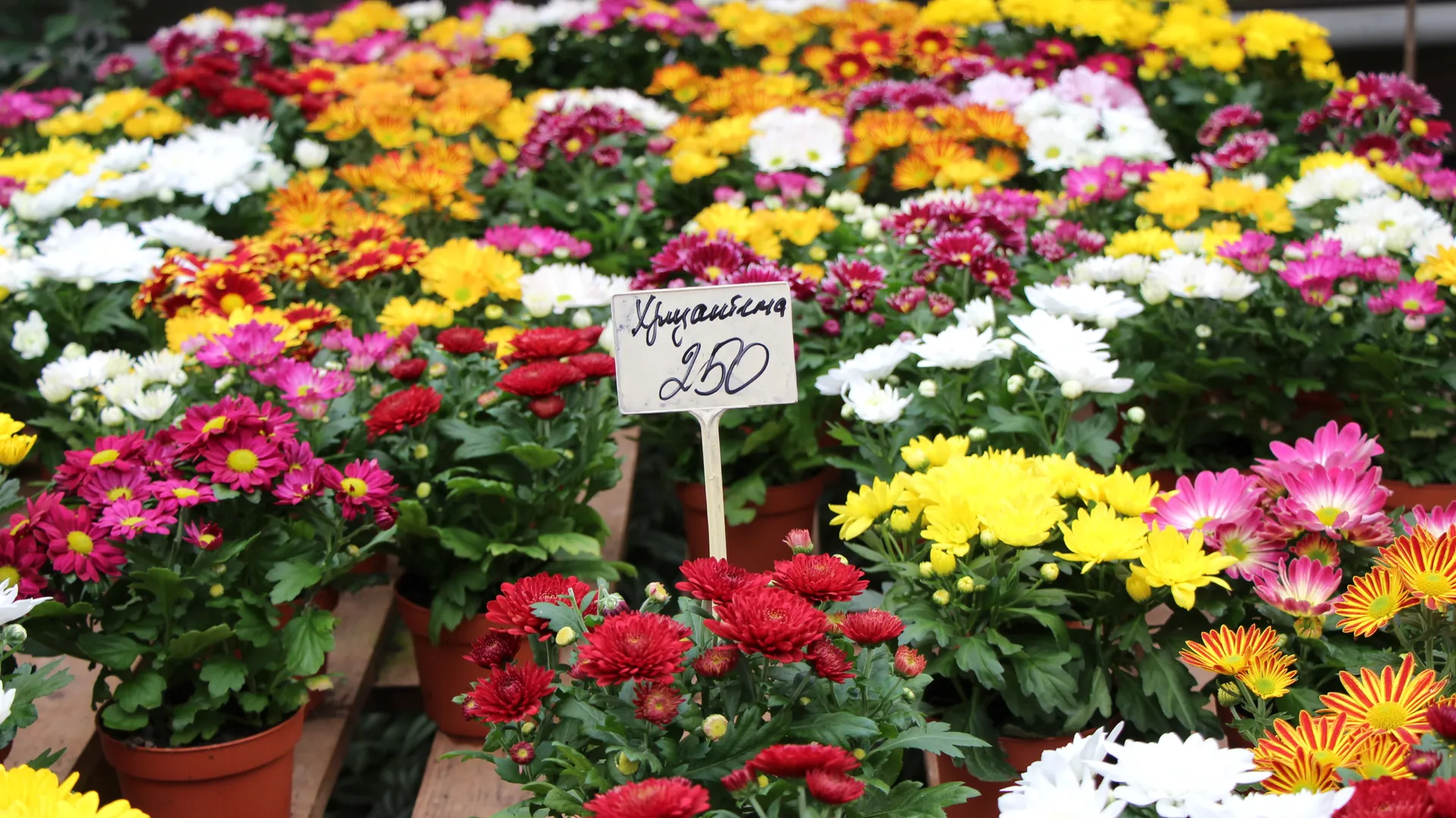 медиасток.рф